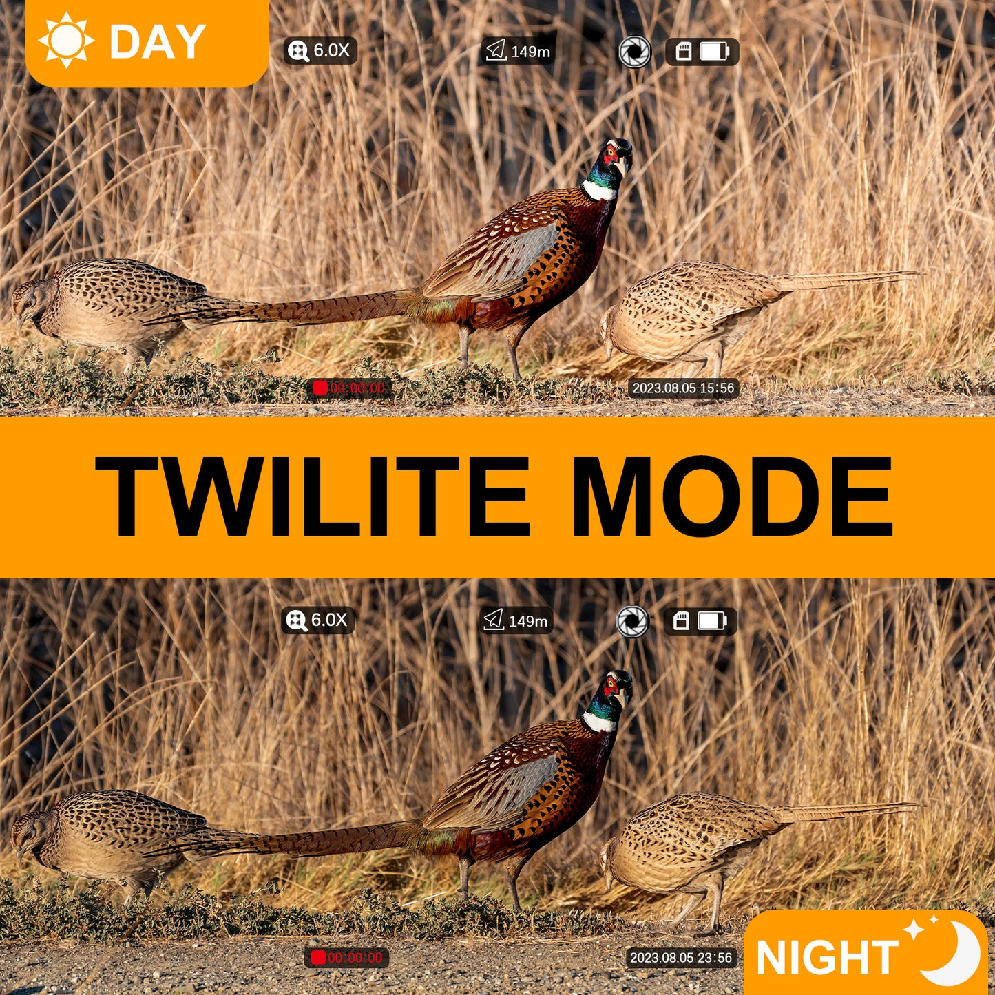 TWILITE Rifles Scope 6-12X HD 2K Digital Night Vision Scope for Hunting